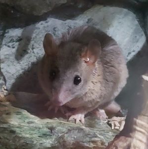 Meet your Posher, Courtney